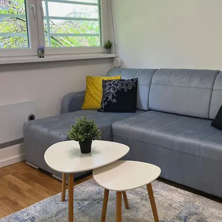 Apartment Saray