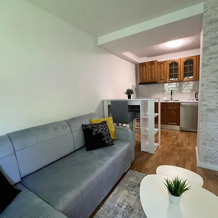 Apartment Saray